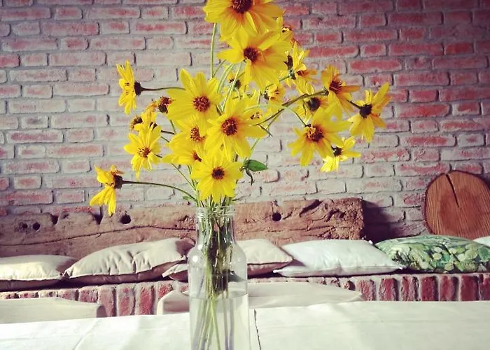 Agriturismo Agronauta *