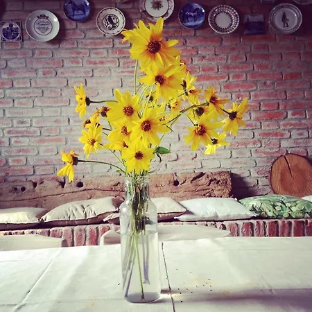 Agriturismo Agronauta *