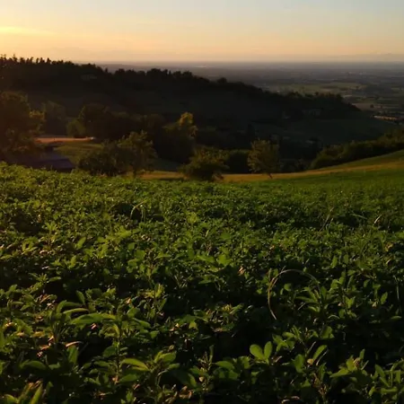 Lantgård Agriturismo Agronauta Piozzano