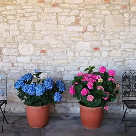 Agriturismo Agronauta *