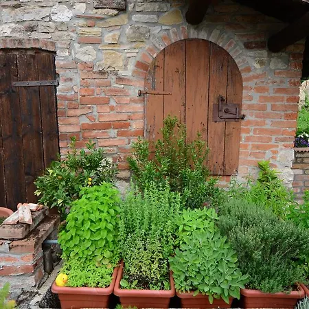 Lantgård Agriturismo Agronauta