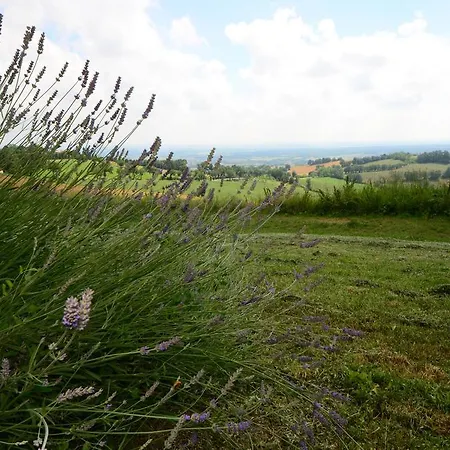 Lantgård Agriturismo Agronauta