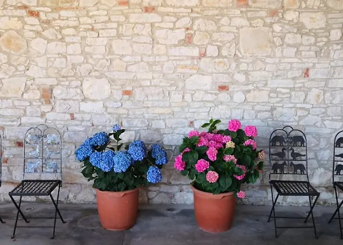 Agriturismo Agronauta *